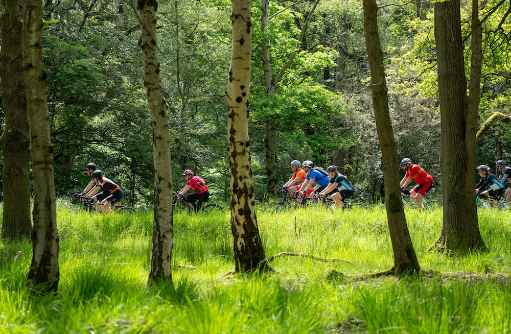 Ride London participants head into the forest during the 2023 race