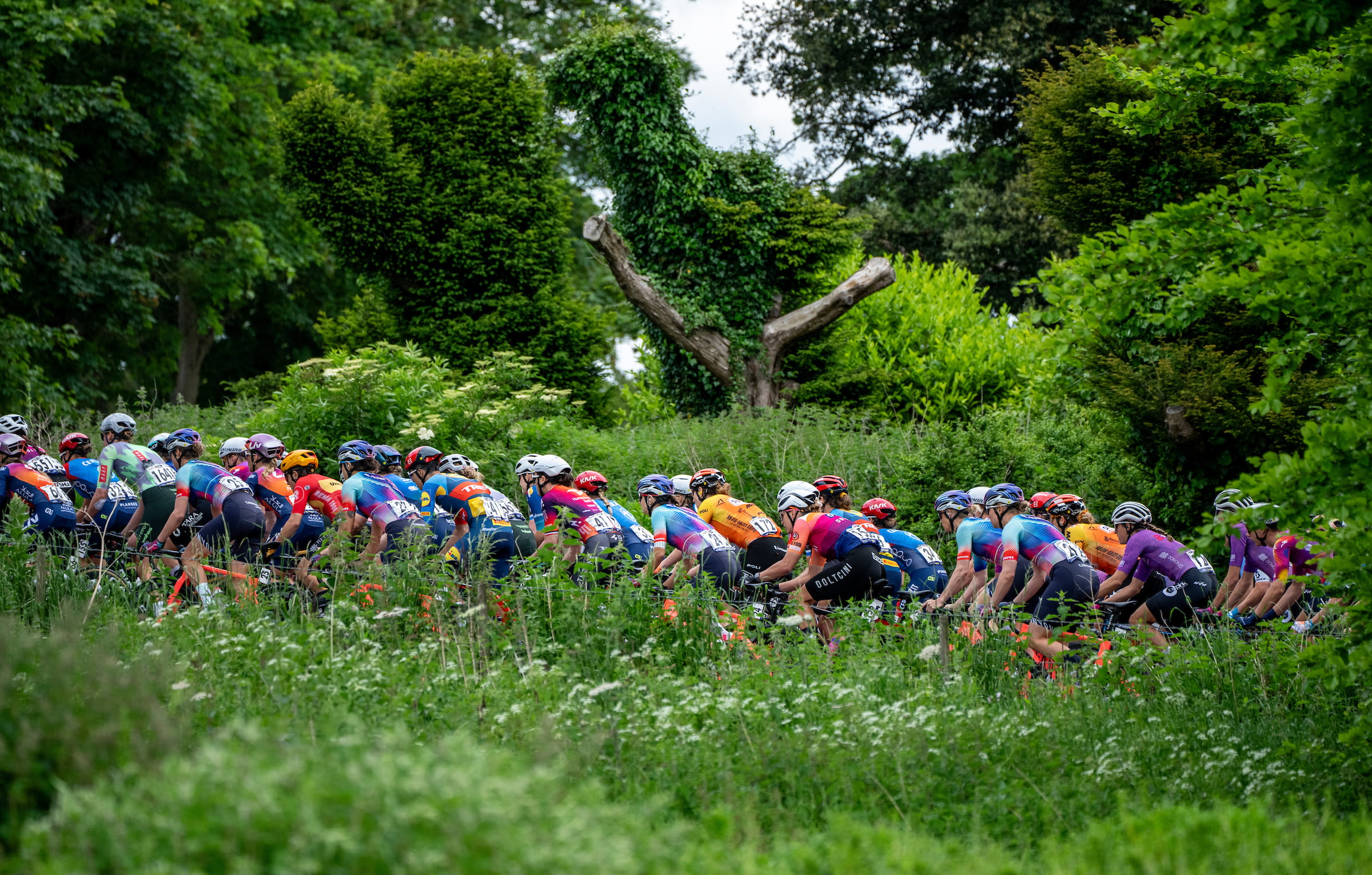 Stage One riders in the countryside