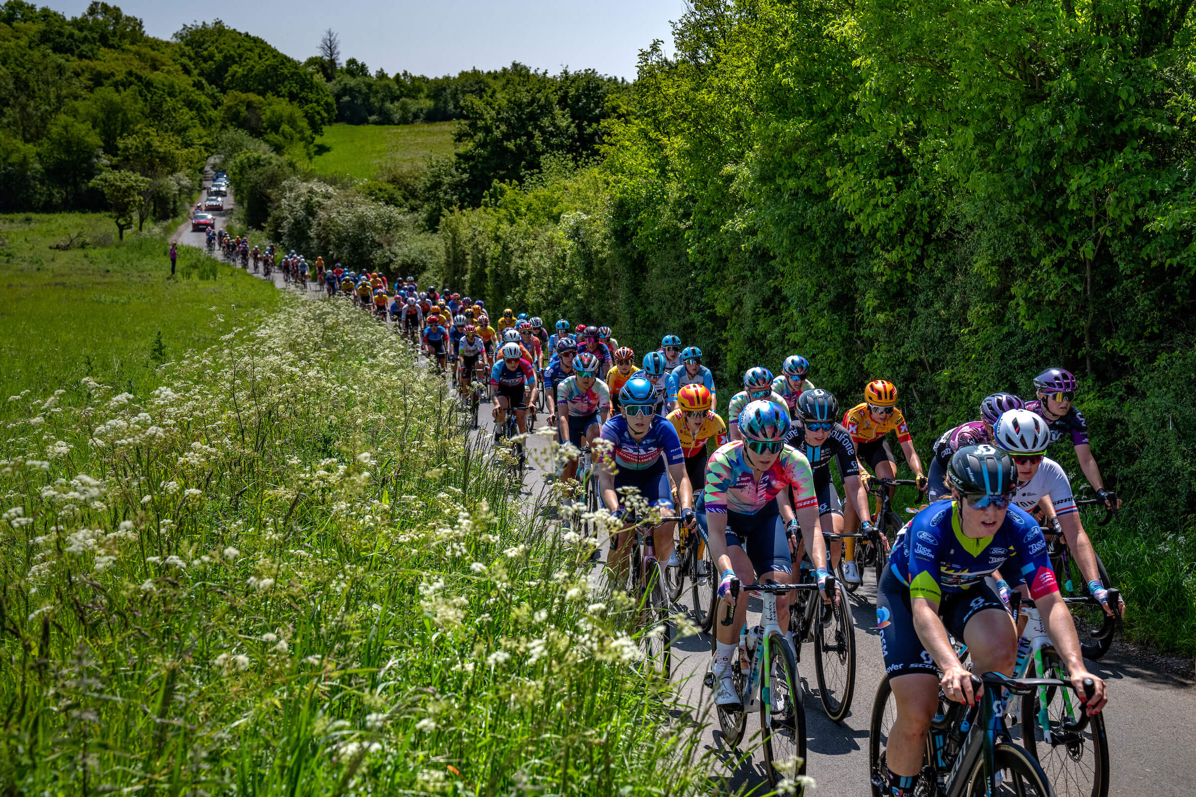 A peloton of cyclists rides along a country lane