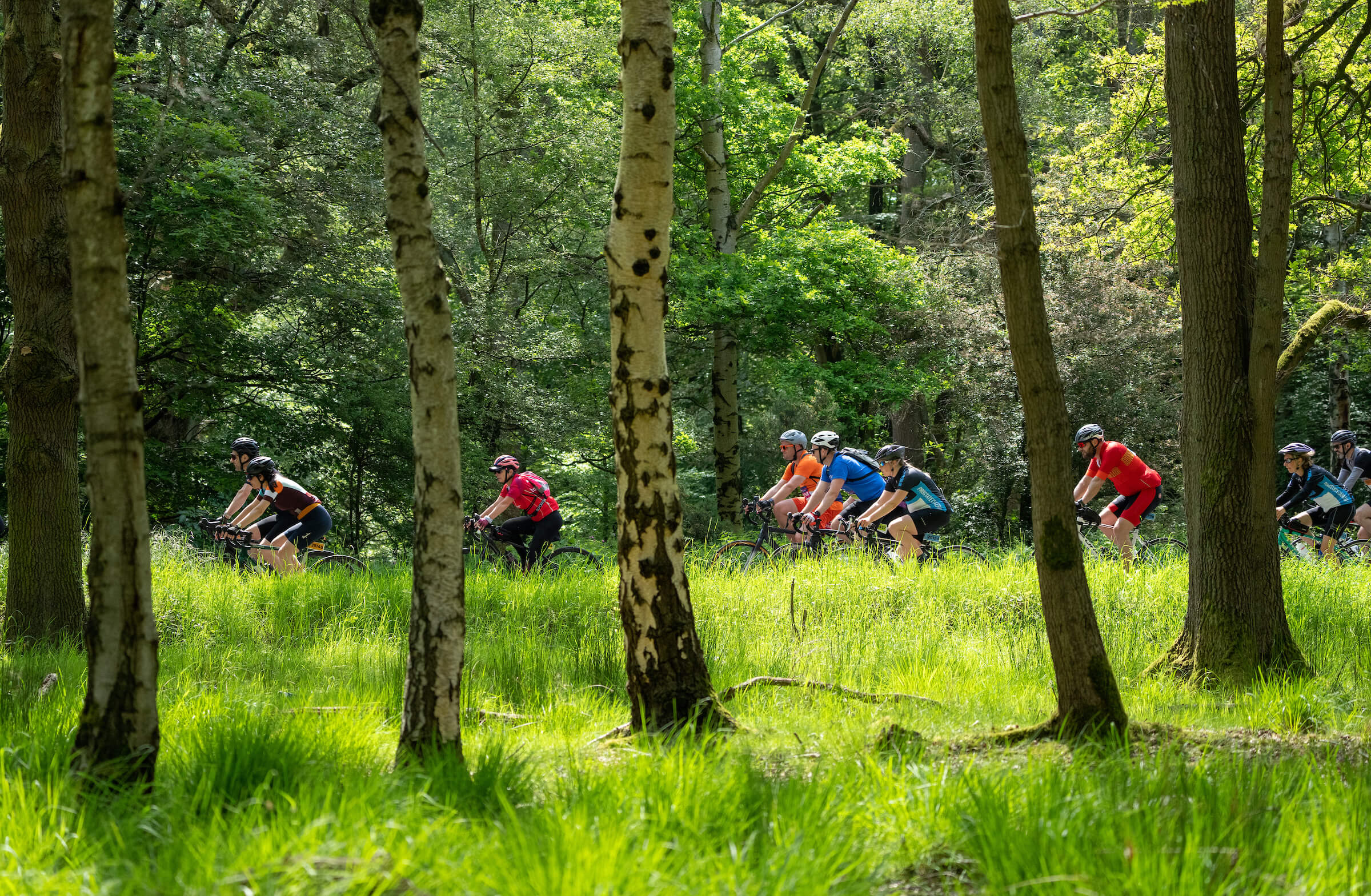 Riders cycling through a forest