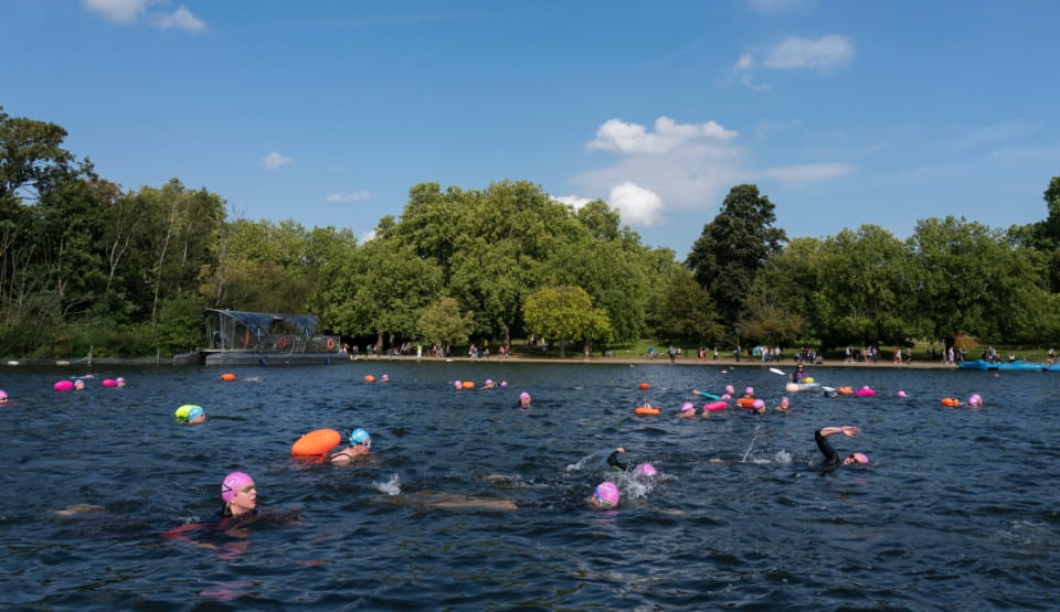 Swimmers in thie water swimming in the Serpentine